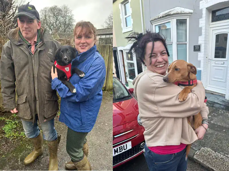 Two Dogs Transported from London to Yeovil and onto Plymouth