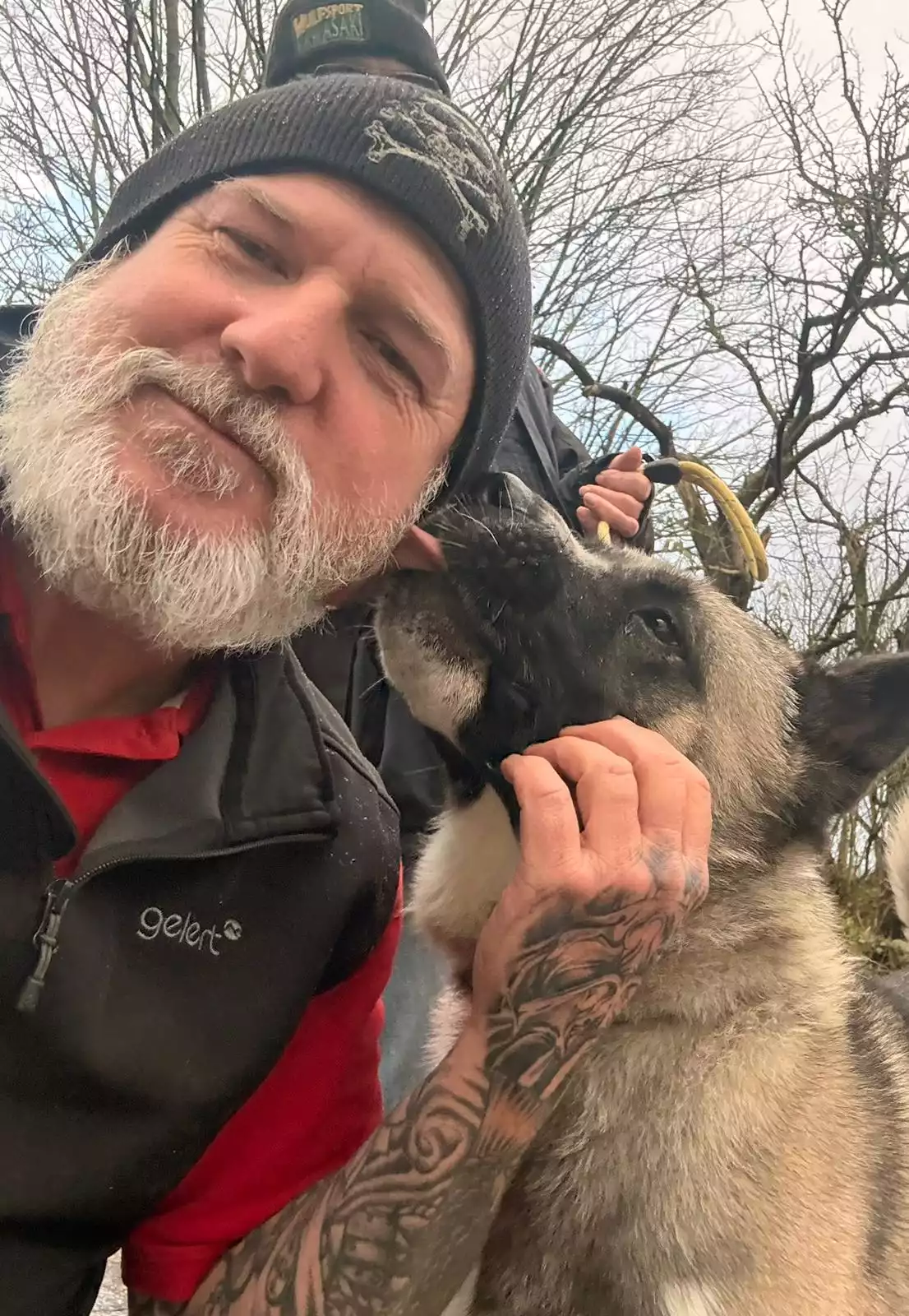 How Dog Transport UK Spends a Day Changing Lives